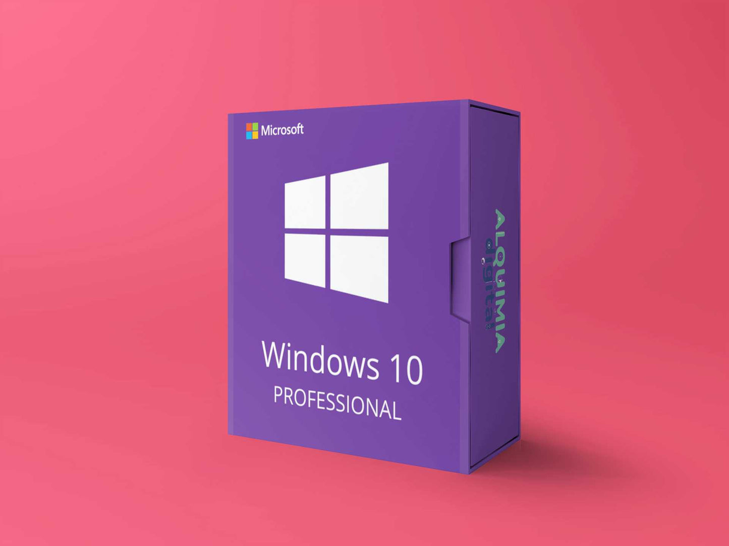 Windows 10 Professional