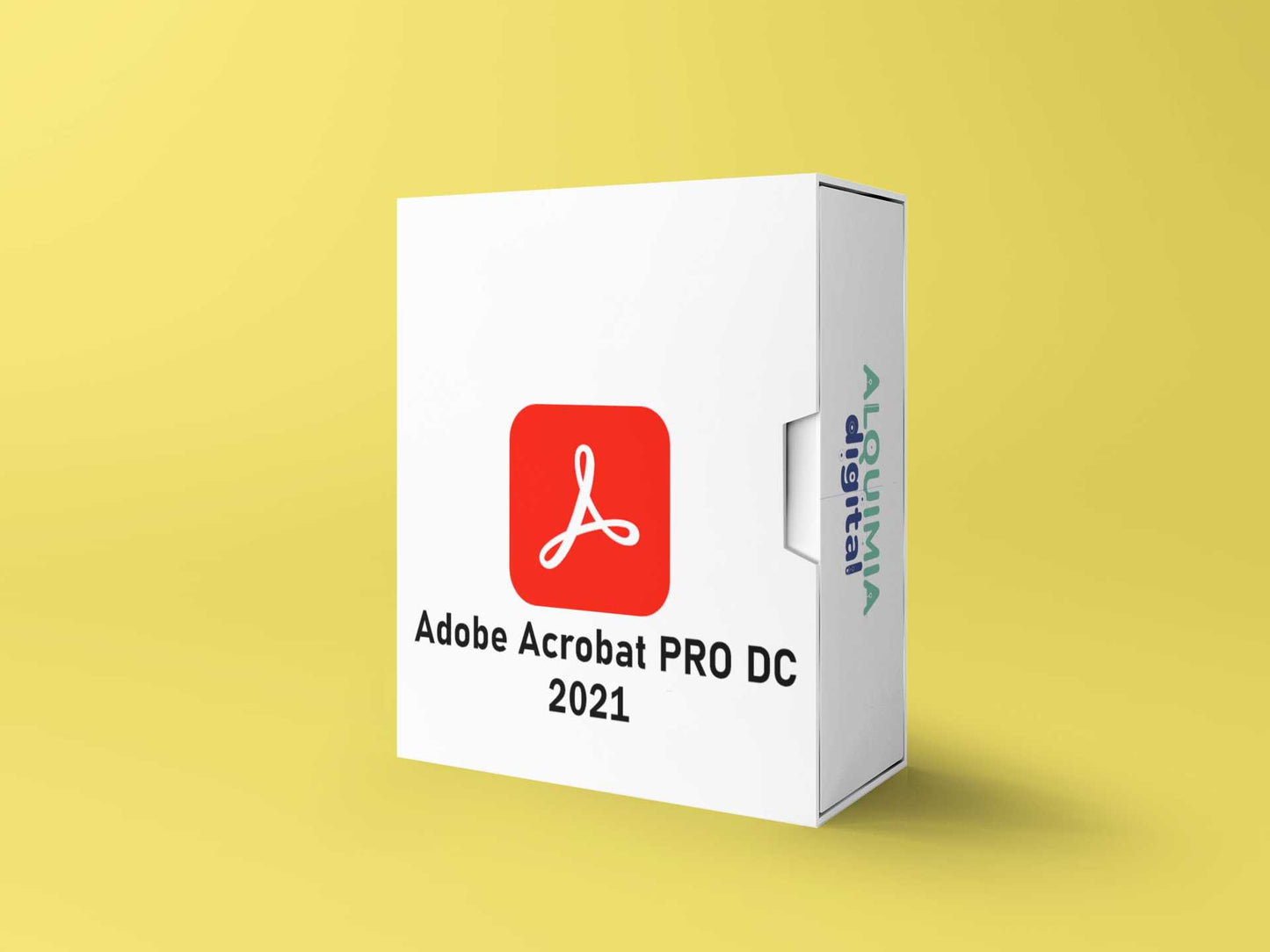 Ad‌‌‍o‌‍b‌‌‍e‌ A‍‍c‌r‍ob‌‍at PR‌O DC 2021